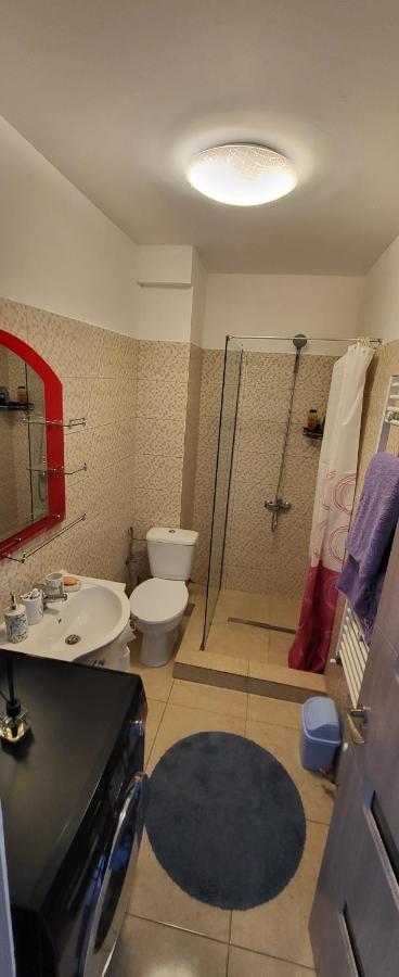 Self Check-In Studio 22 Bulevardul Oltenia Craiova Exteriör bild
